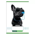 Füzet vonalas NEBULO A/5 32 lapos 21-32 4-8.osztályos Vagány II. 16 darabos