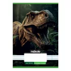 Füzet vonalas NEBULO A/5 32 lapos 21-32 4-8.osztályos Vagány II. 16 darabos